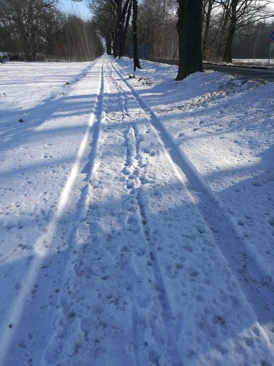 51804005 407426666675236 7608599509064482816 n