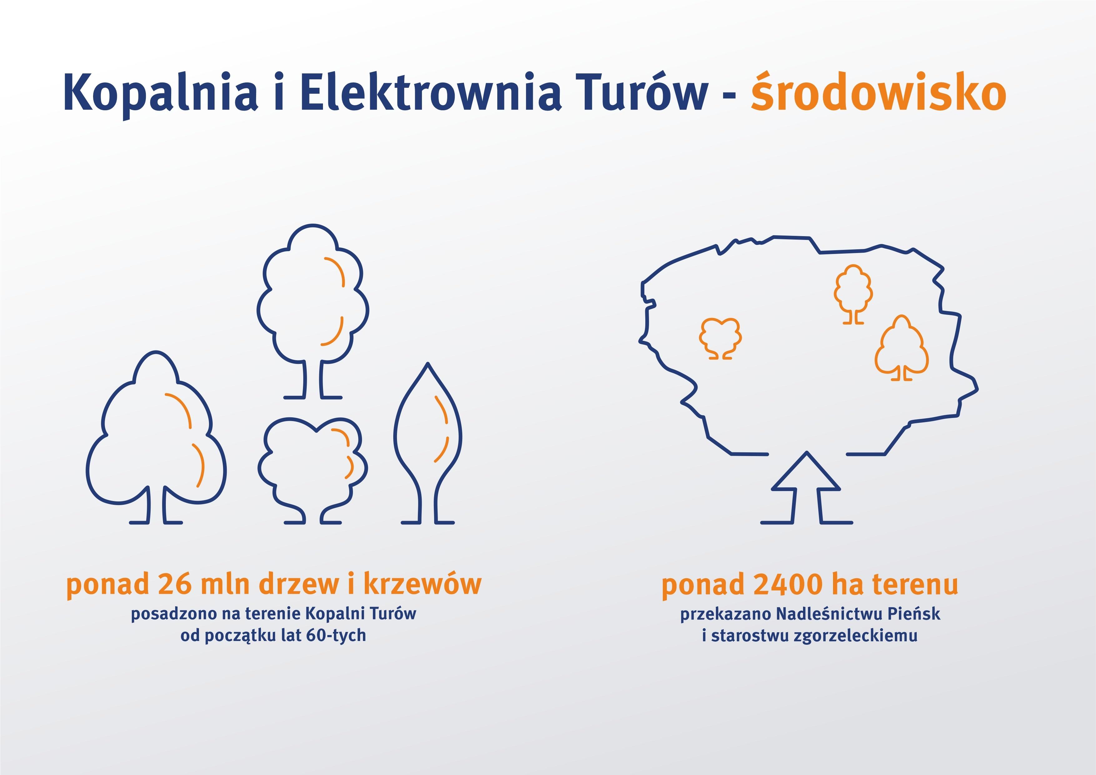 infografika lasy Turów